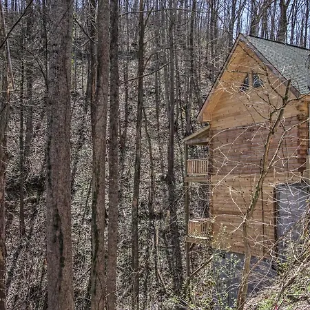 The Phoenix Gatlinburg Family Cabin With Hot Tub!